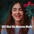 Dil Hai Ke Manta Nahin Mp3