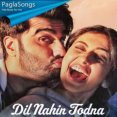 Dil Nahin Todna Mp3